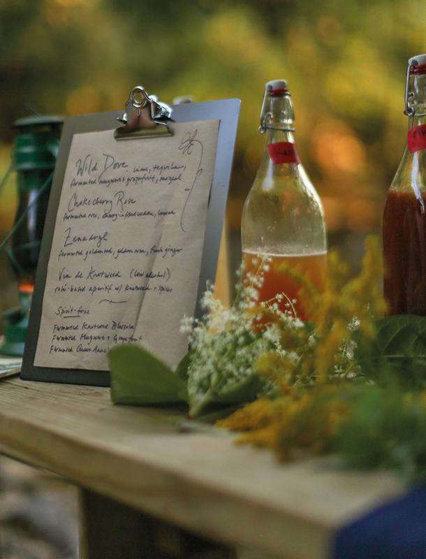 Botanical Cocktail Recipe