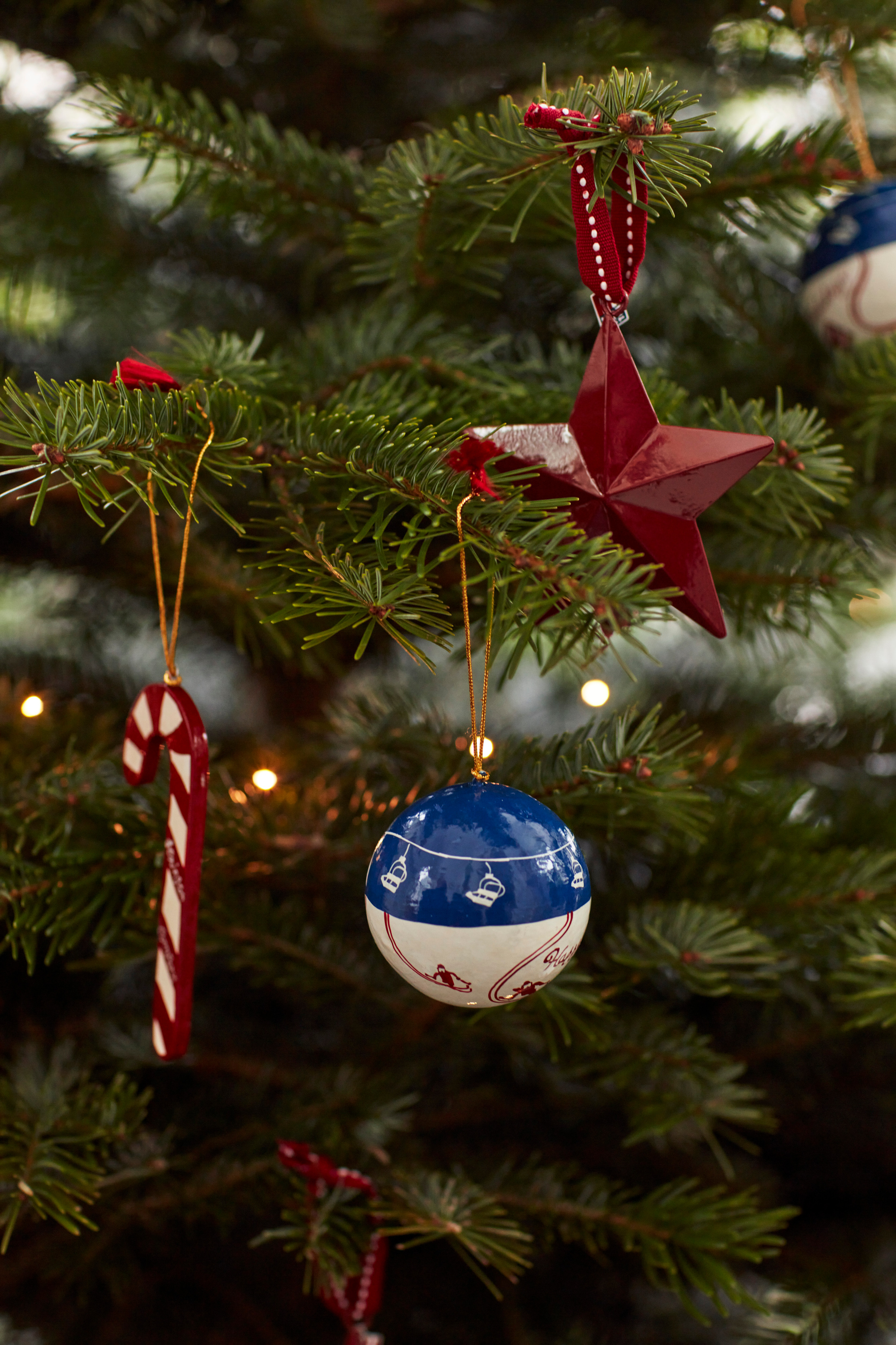 17650_b9981c14e2-